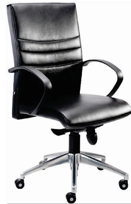Express Medium Back Chair